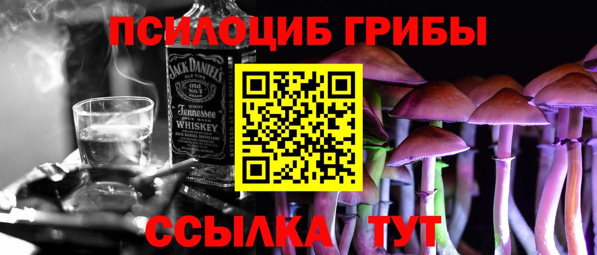 купить   Галлюциногенные грибы GOLDEN TEACHER  Вход с VPN  Новочеркасск 